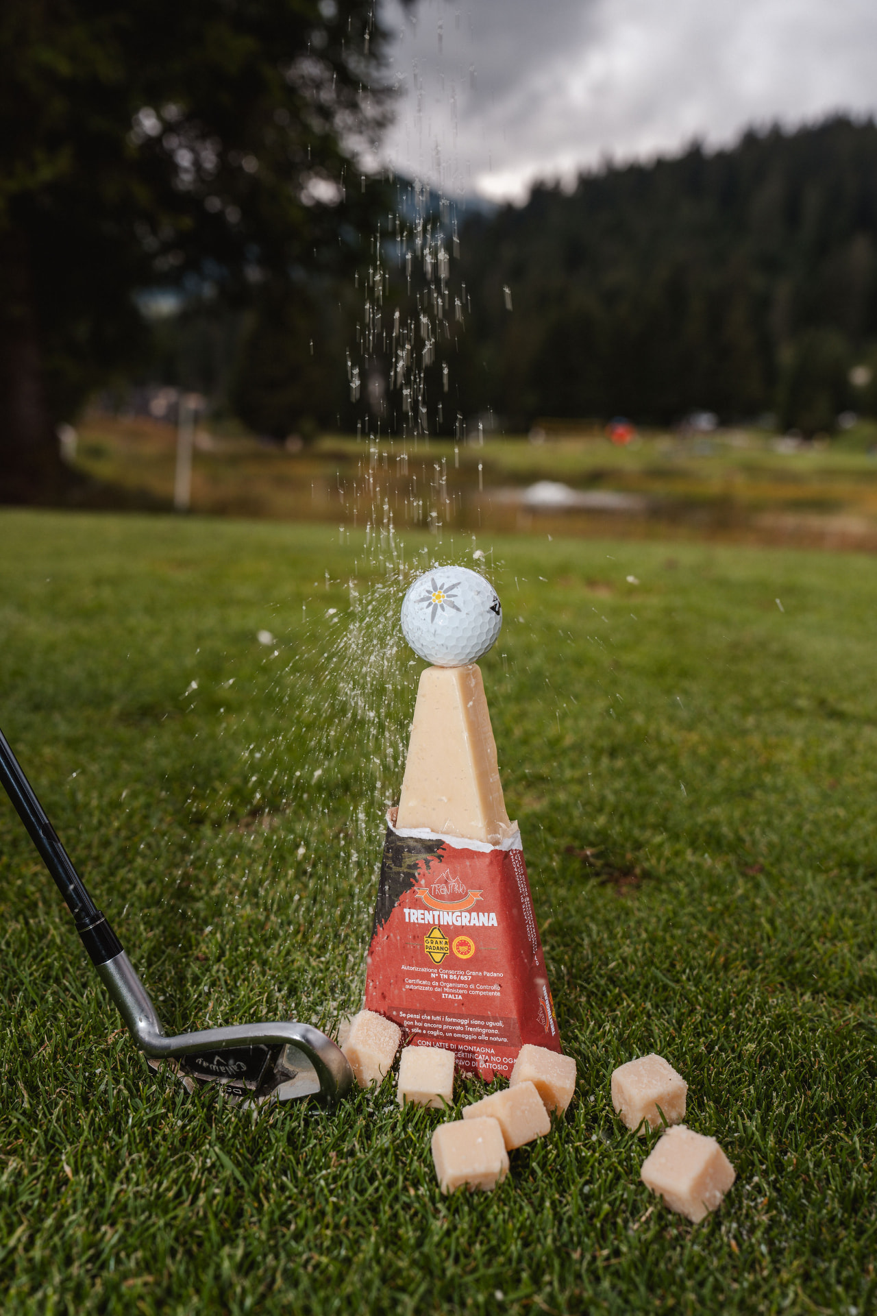 Pallina da golf e Trentingrana sul prato